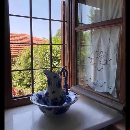 Dreamy Agia (Larissa)