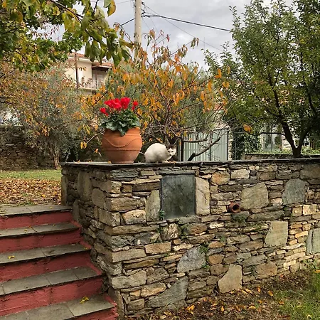 Дом отдыха Dreamy