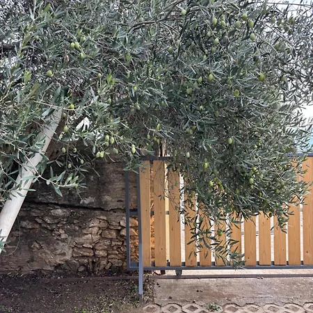 Dreamy Дом отдыха