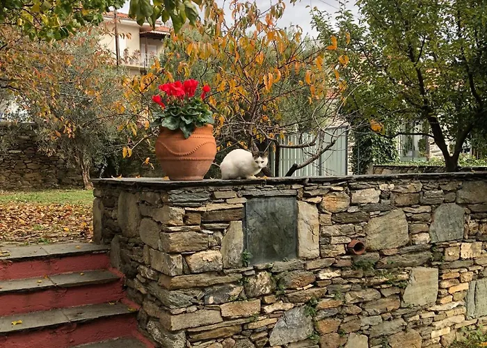 Case de vacanță Dreamy