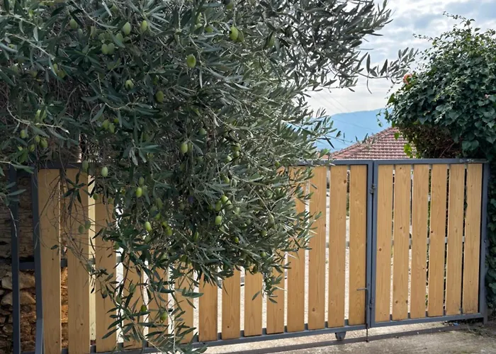 Case de vacanță Dreamy *