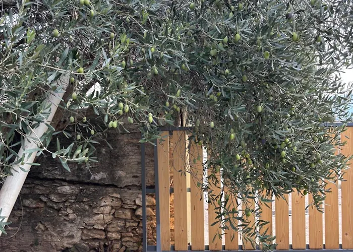 Dreamy Case de vacanță